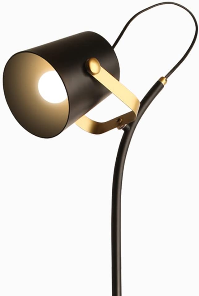 American Metal Gooseneck Floor Lamp with Adjustable Shade E27/E26 Max 60W for Living Room Bedroom Study Room or Hallway