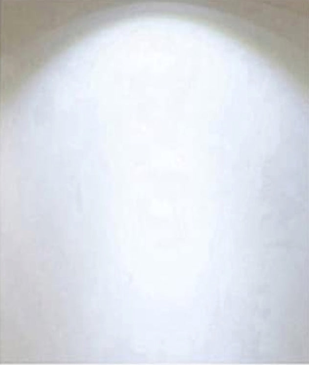 3000K/6000K Manual Adjustment LED Column Headlight Waterproof Outdoor Post Light Fixtures Streetlights Exteriors Traditional