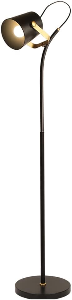 American Metal Gooseneck Floor Lamp with Adjustable Shade E27/E26 Max 60W for Living Room Bedroom Study Room or Hallway